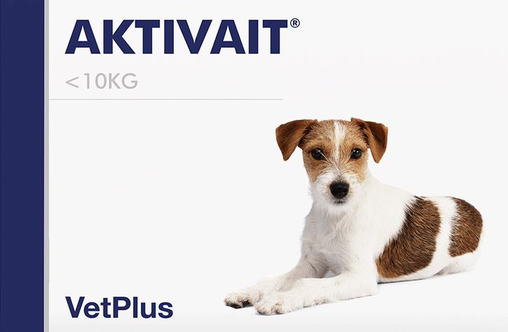 Aktivait Dog