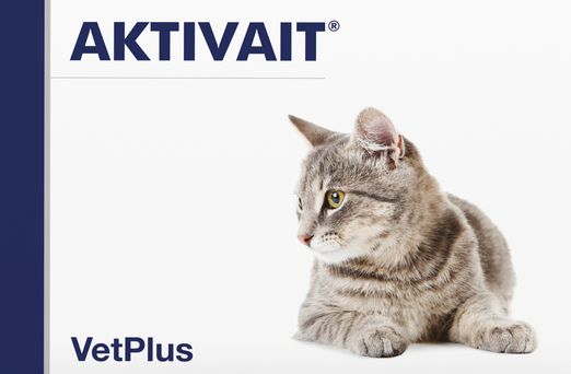 Aktivait Cat