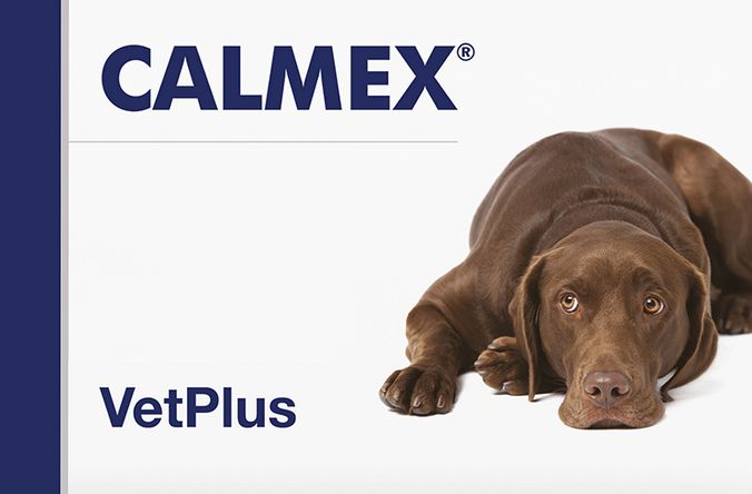 Calmex Dog